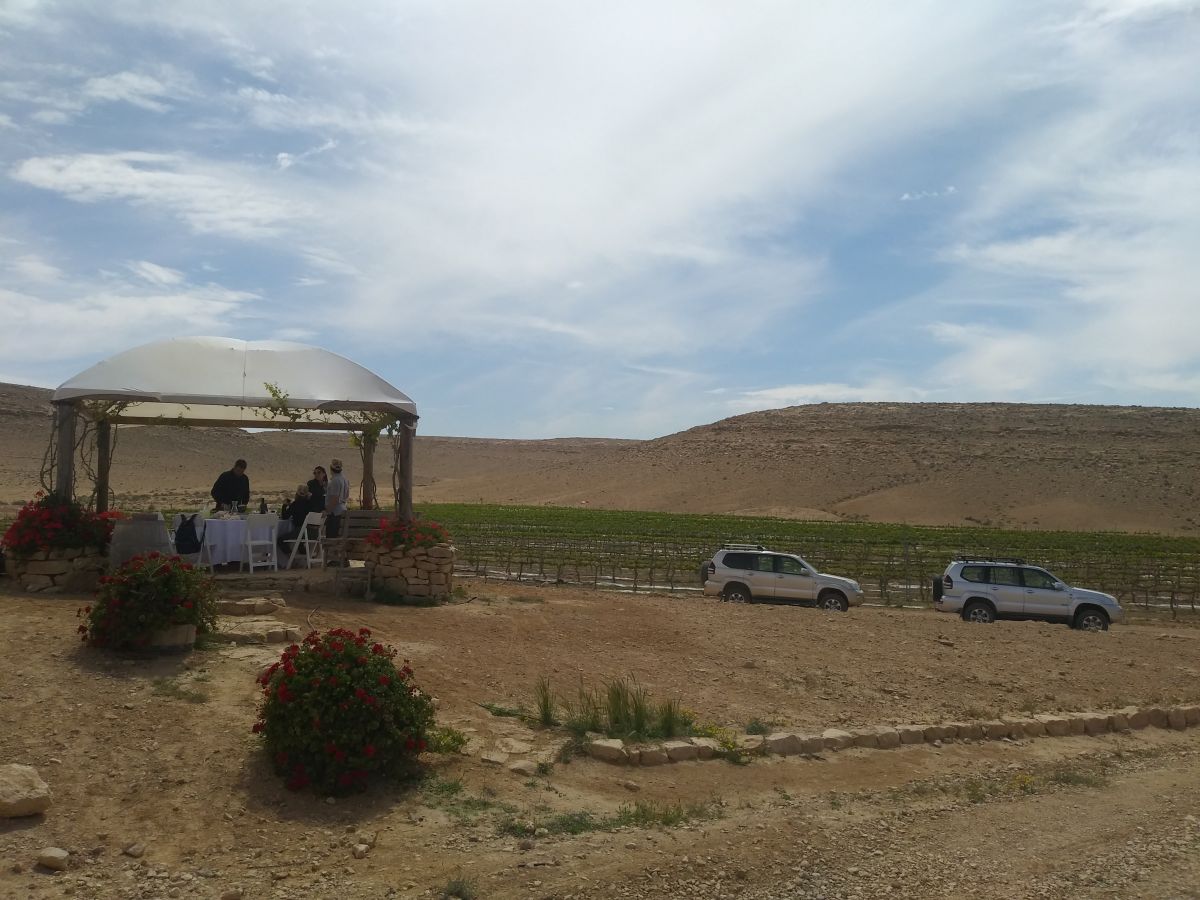 jeep tour from mitzpe ramon to a vinery