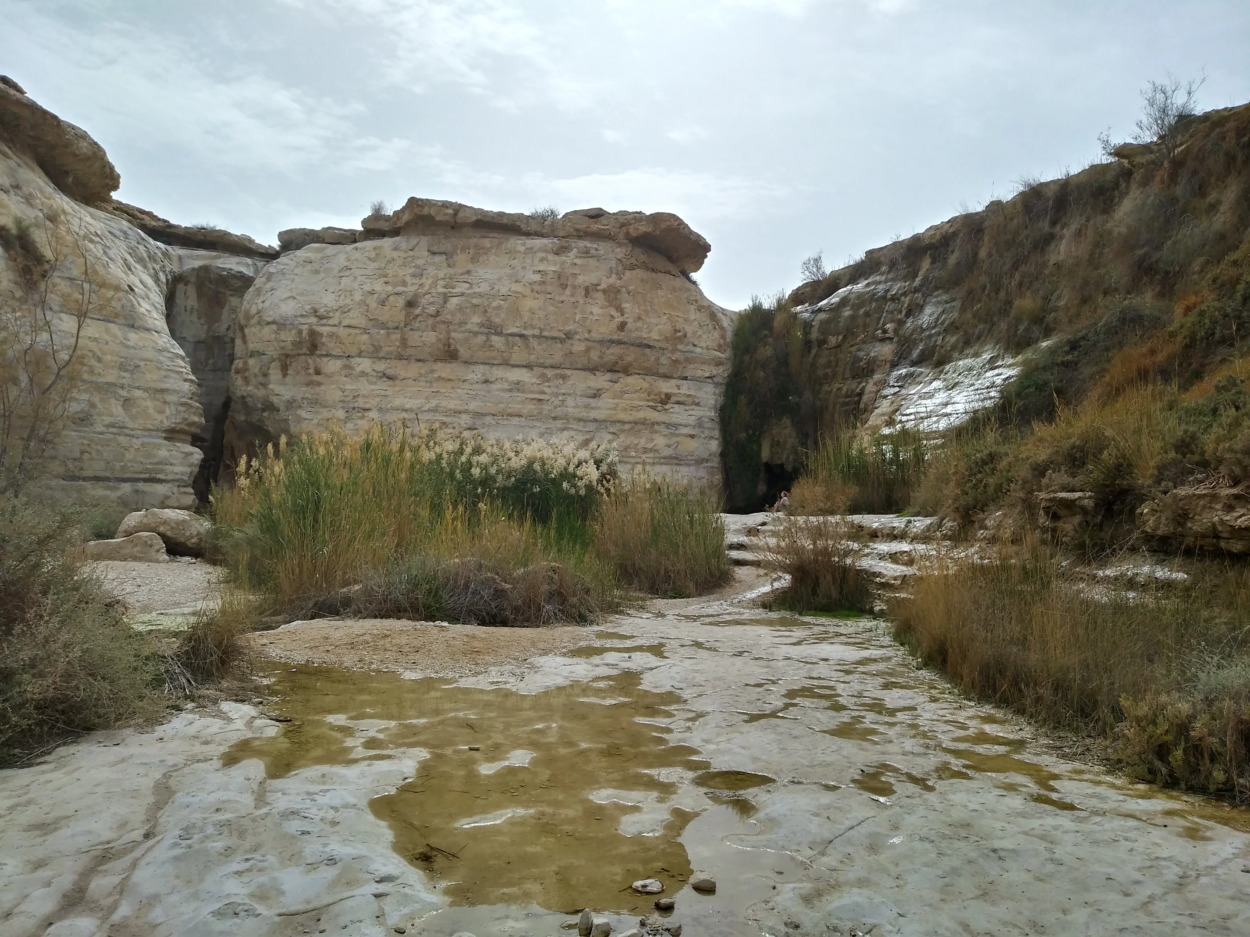 טיול ג'יפים בקעת צין