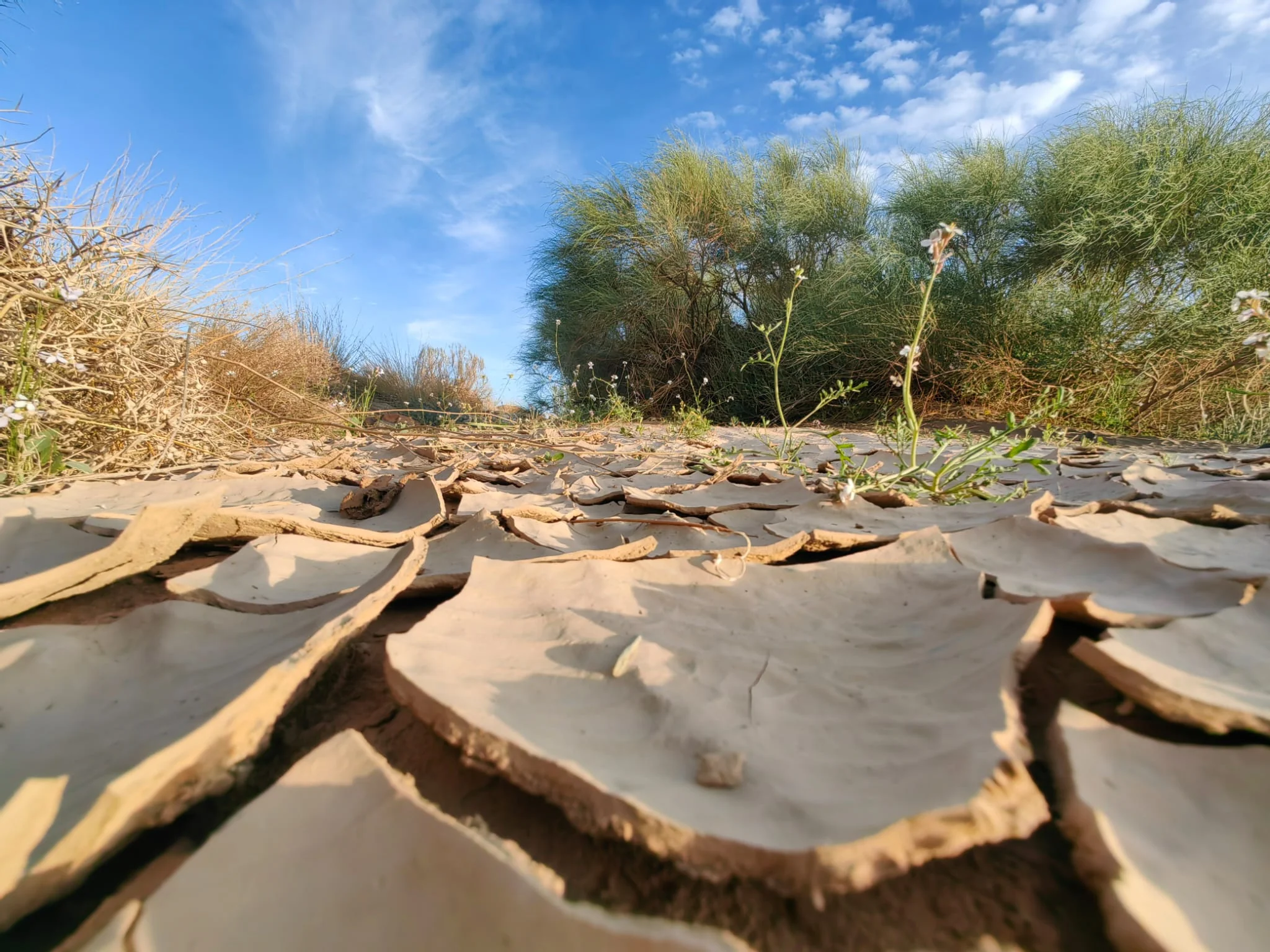 קרקע יבשה טיול ג'יפים מכתש רמון